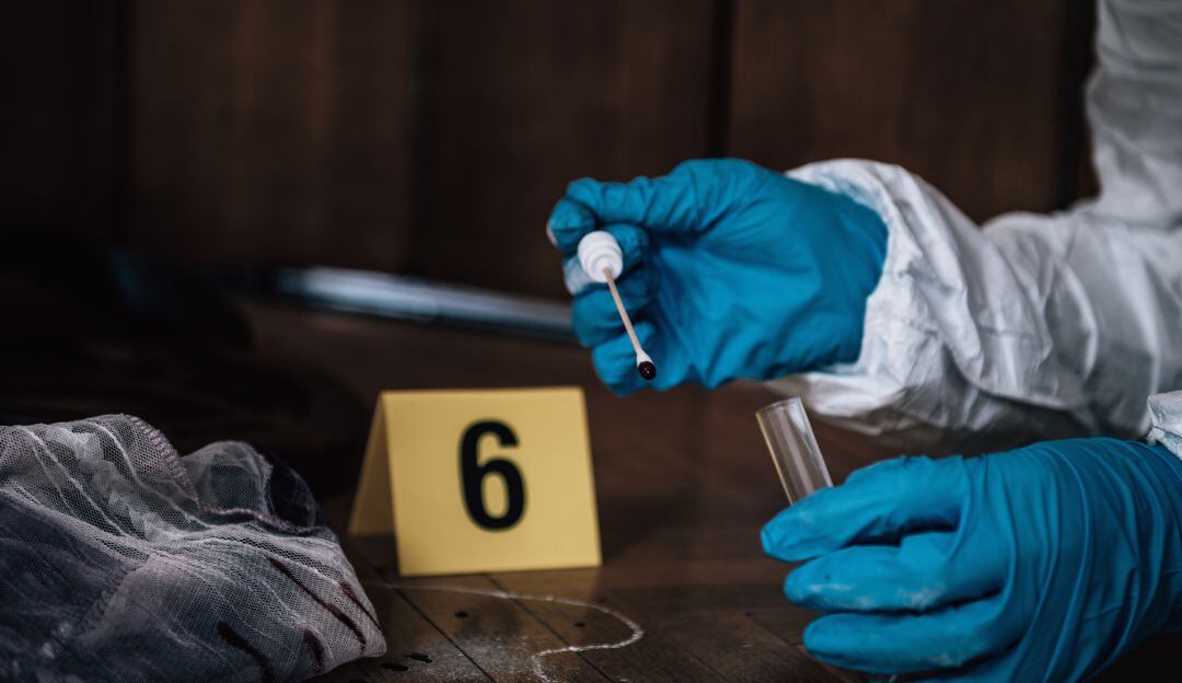 Imagen de referencia