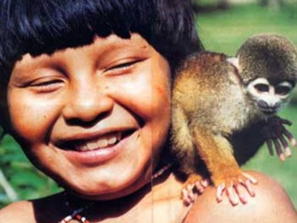 El Parlatino revisará temas ambientales y derechos indígenas en Ecuador