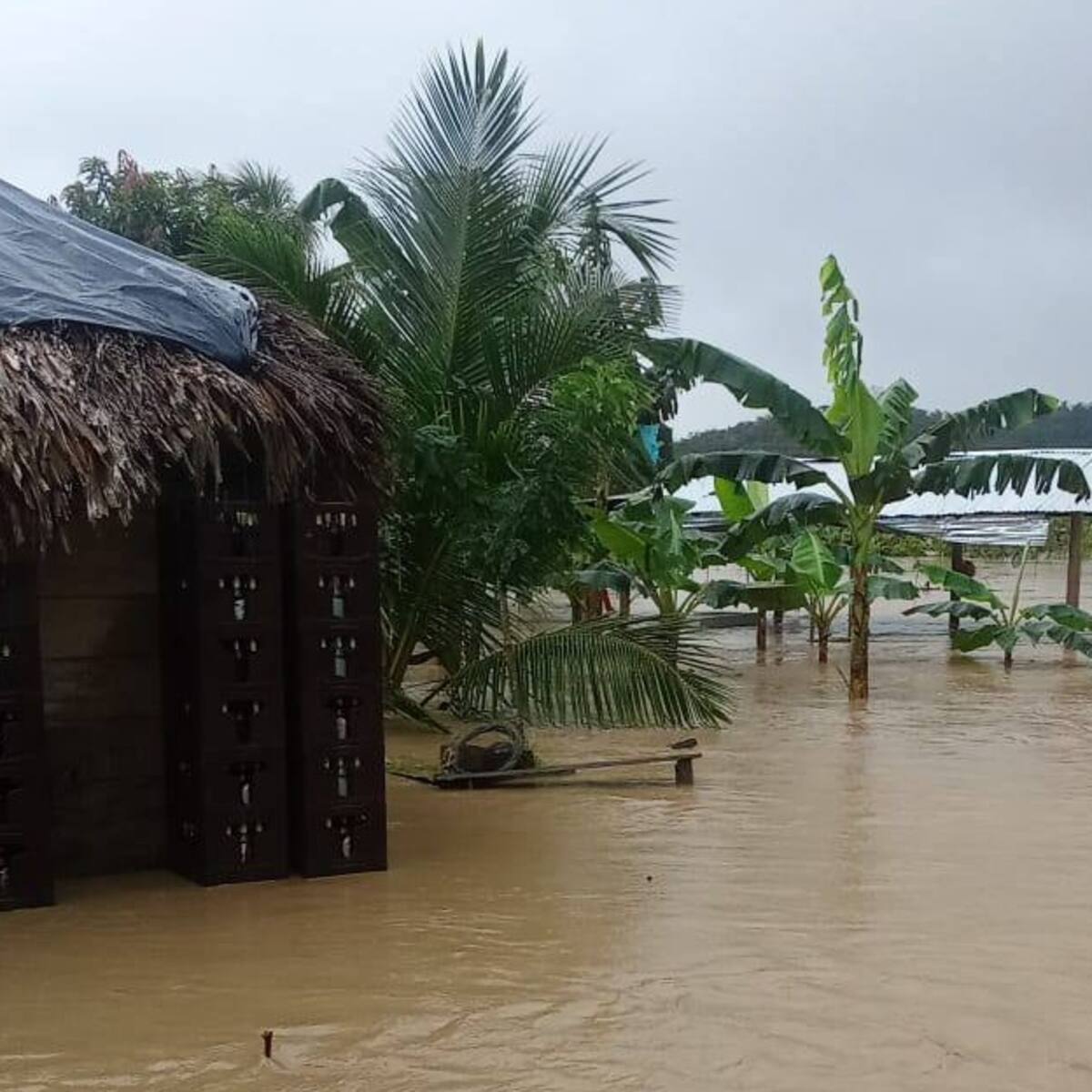 Tras emergencias por lluvias, Necoclí reporta 19 casos de dengue