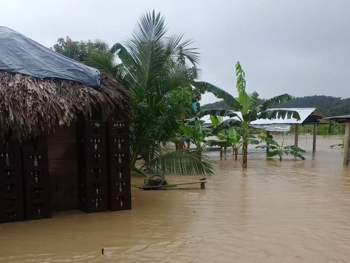 Tras emergencias por lluvias, Necoclí reporta 19 casos de dengue