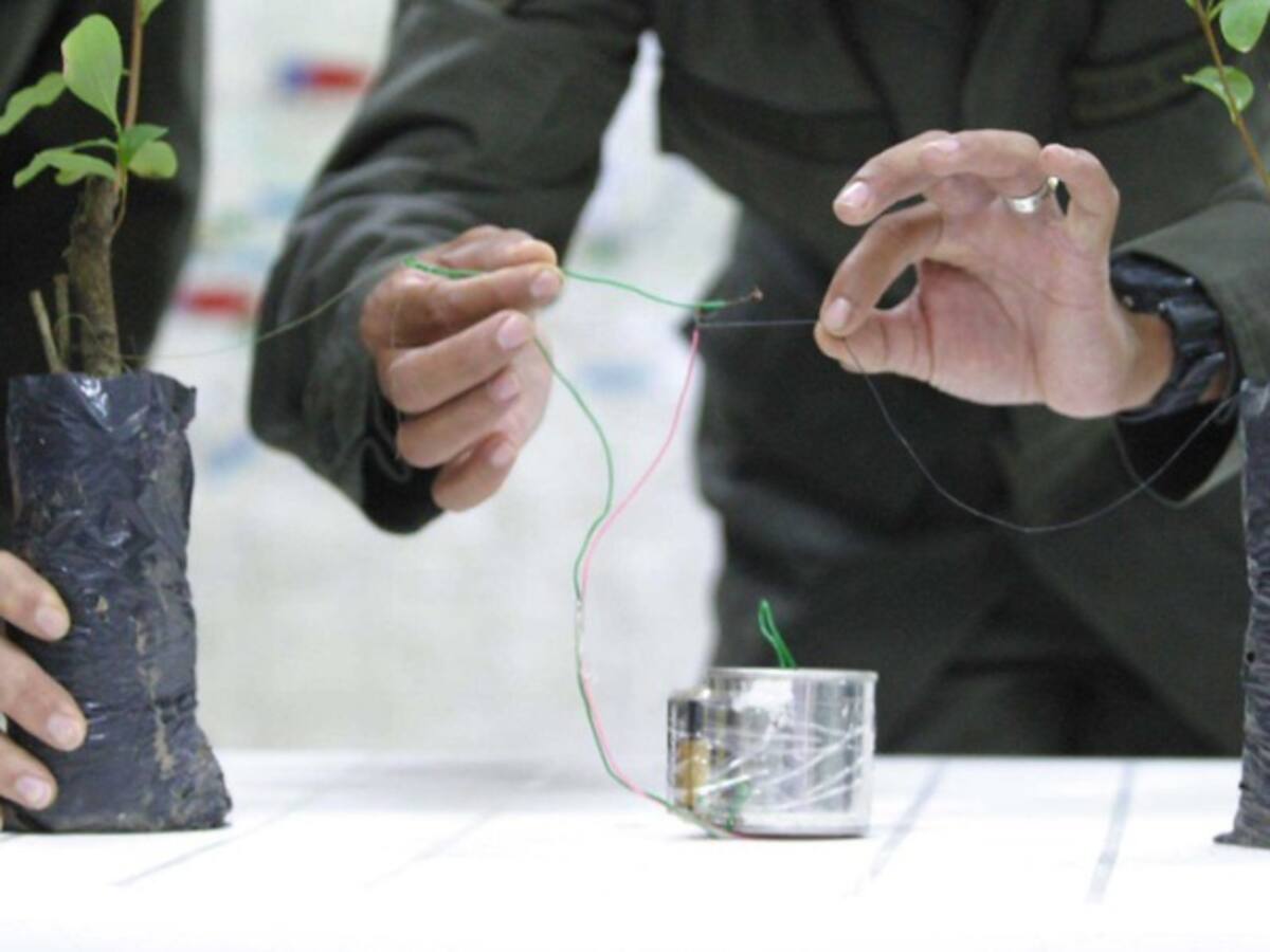 “Las minas son unos artefactos que jamás deben ser usados en las guerras”: Cabo Durán