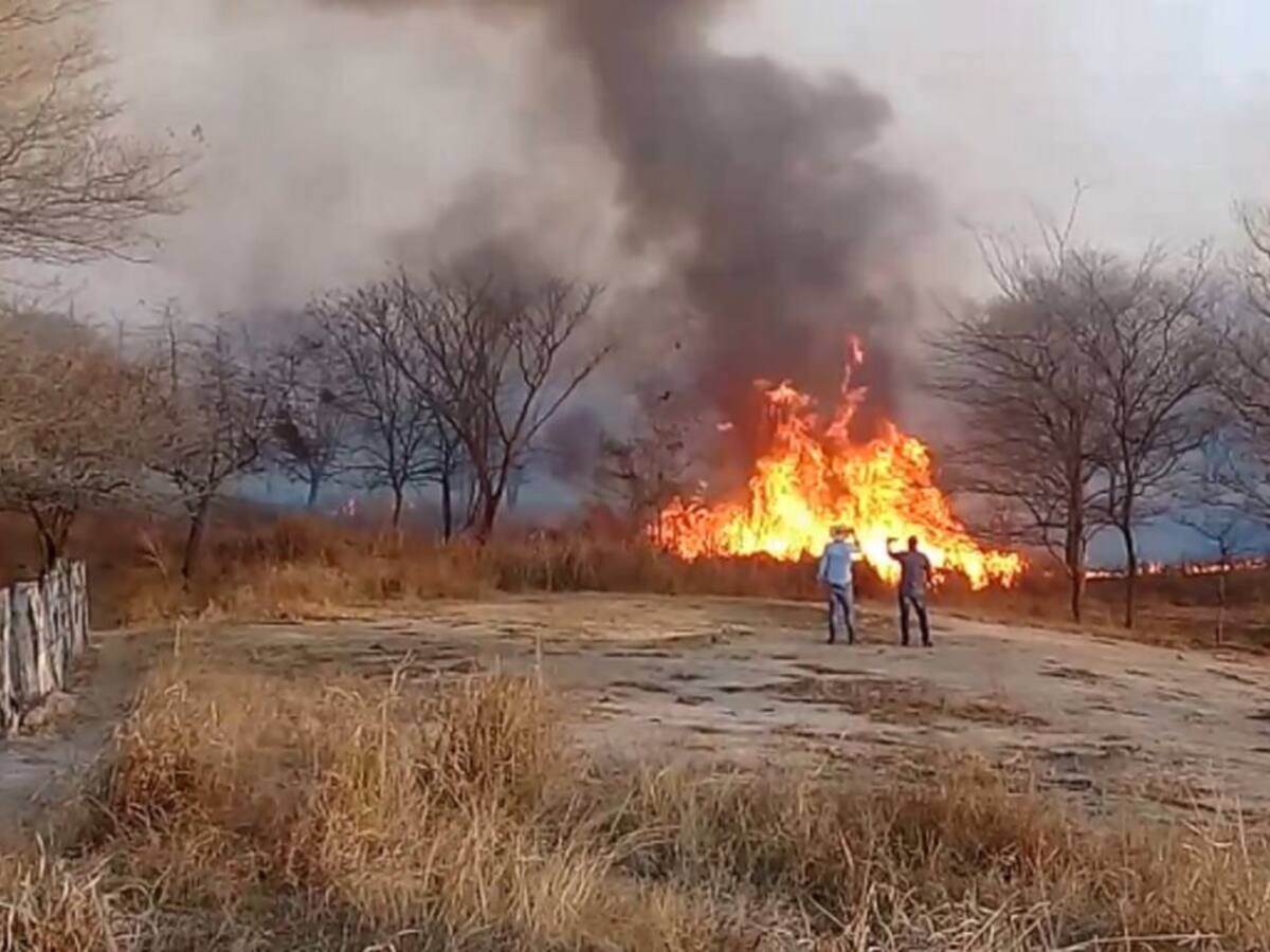 Incendio forestal destruye 10 fincas en el Magdalena