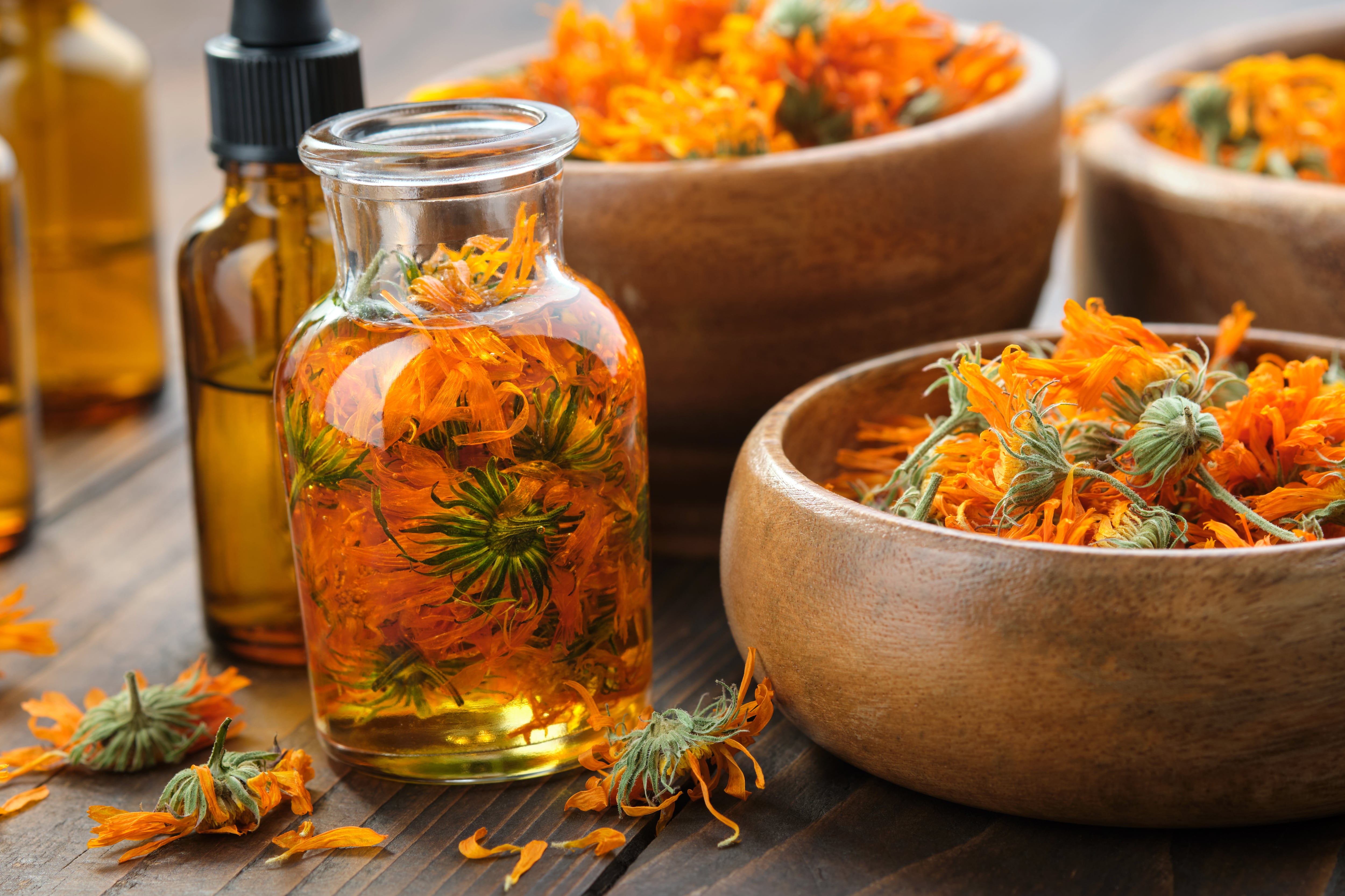 Flores de caléndula en platos, aceite e infusión. (Foto vía Getty Images)