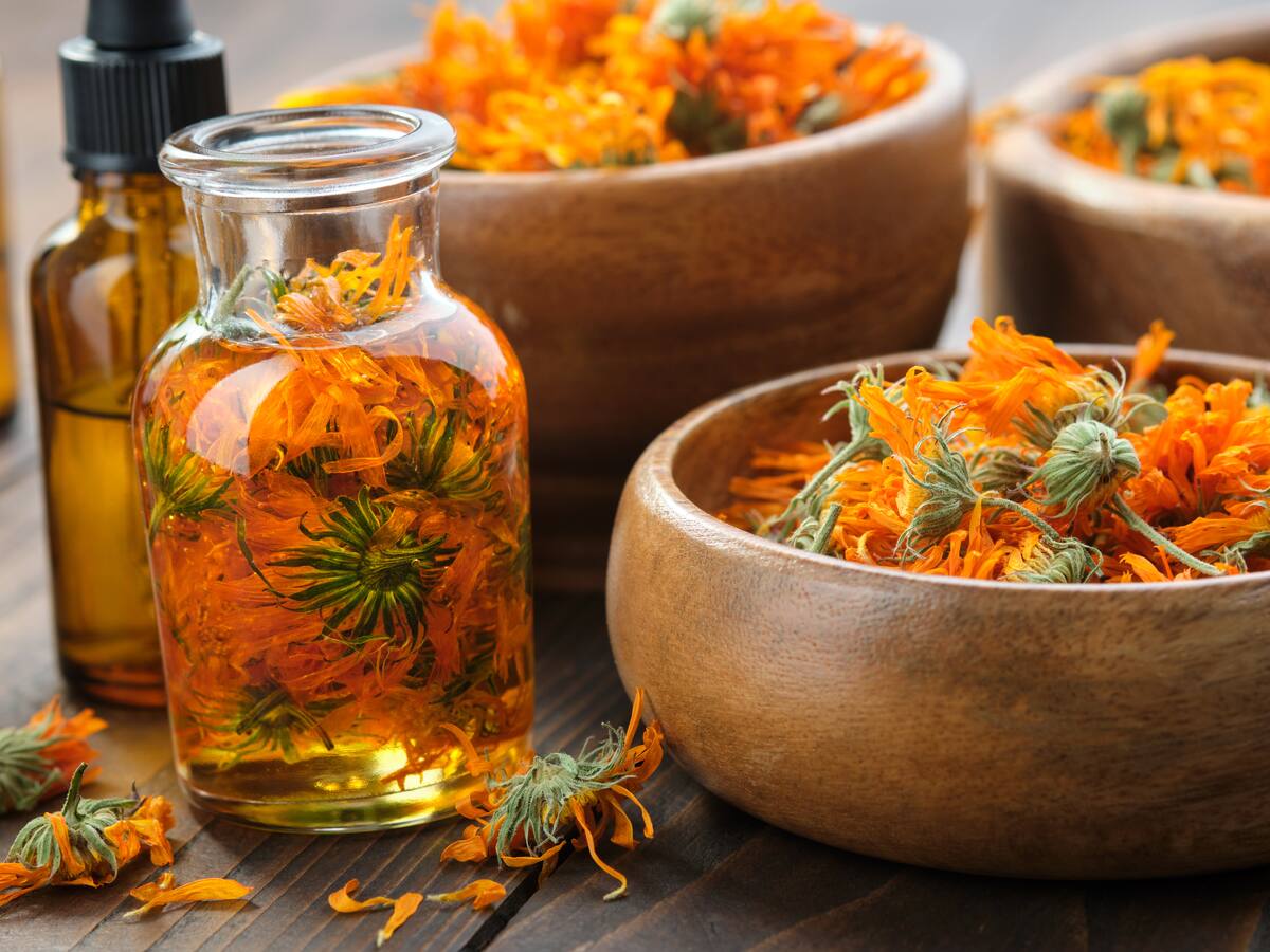 ¿Qué beneficios tiene la caléndula para la salud? Así se prepara