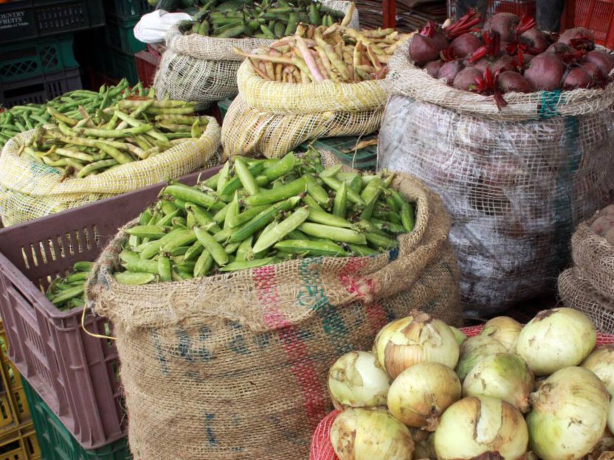 Campesinos de Bolívar promocionan sus productos en una plataforma virtual