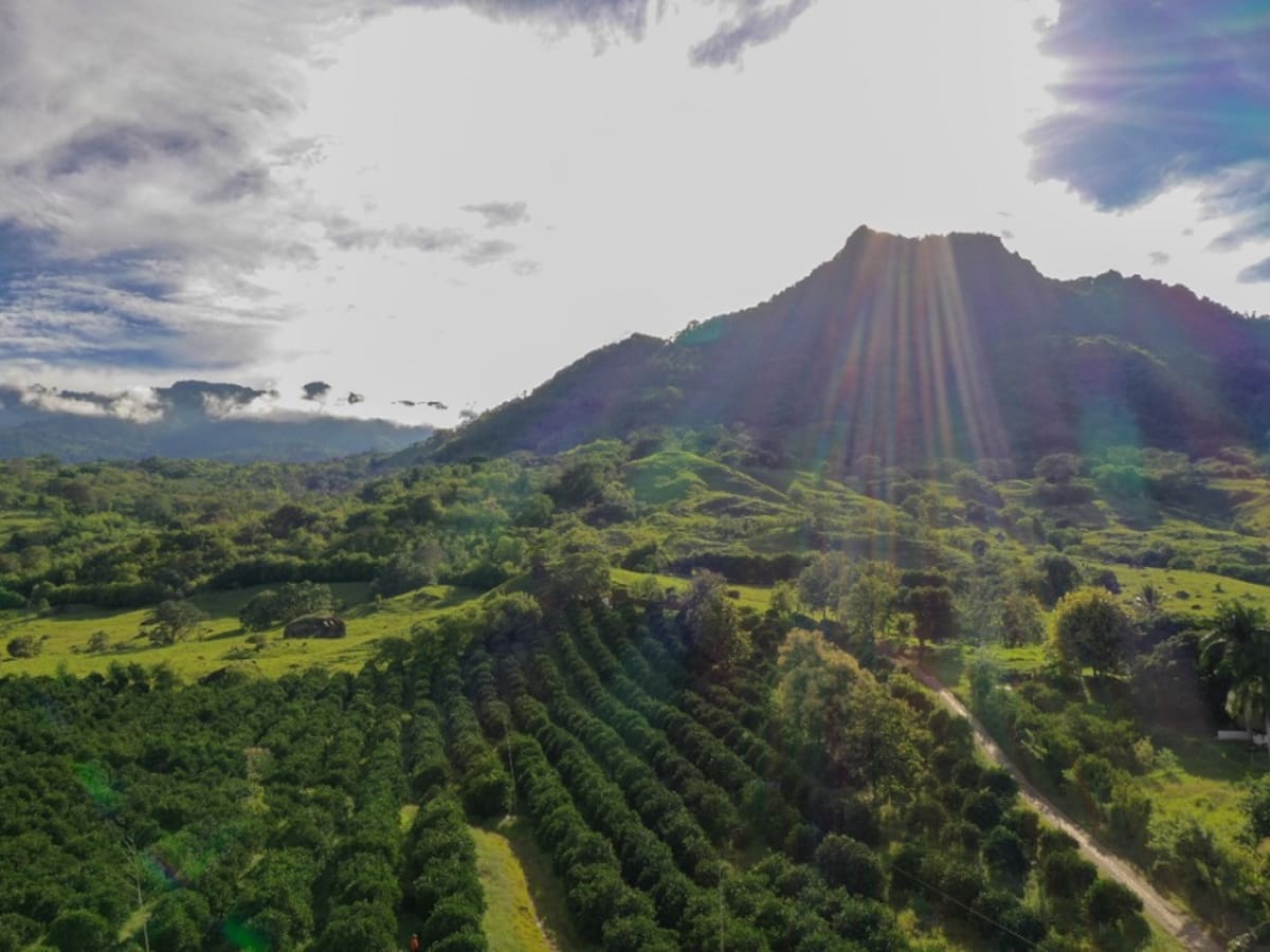 Veeduría de Jericó rechazó decisión de la ANM sobre negar prórroga a minera Quebradona