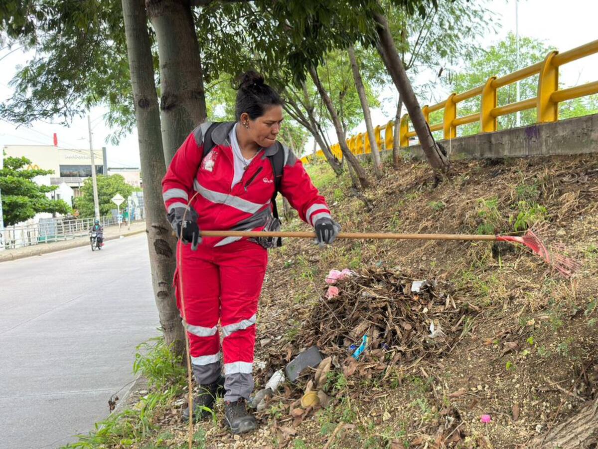 Jornada de limpieza y educación ambiental liderada por Veolia en la Av. Pedro de Heredia