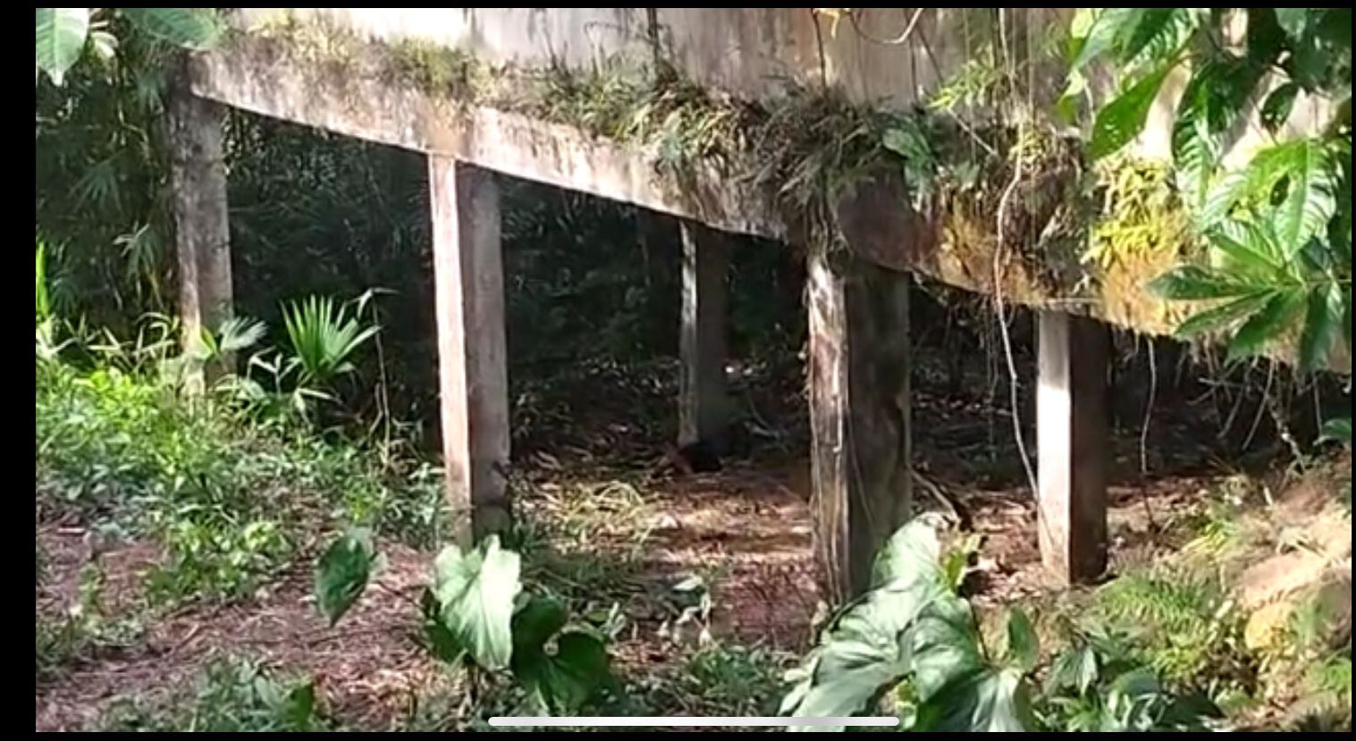 Buenaventura: desmembrado y enterrado fue encontrado el cuerpo de un hombre