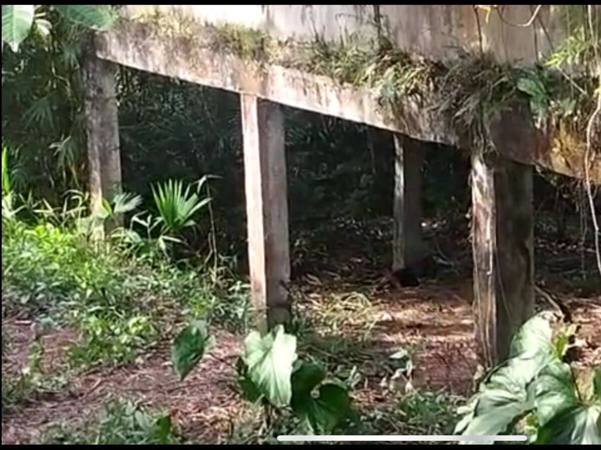 Buenaventura: desmembrado y enterrado fue encontrado el cuerpo de un hombre