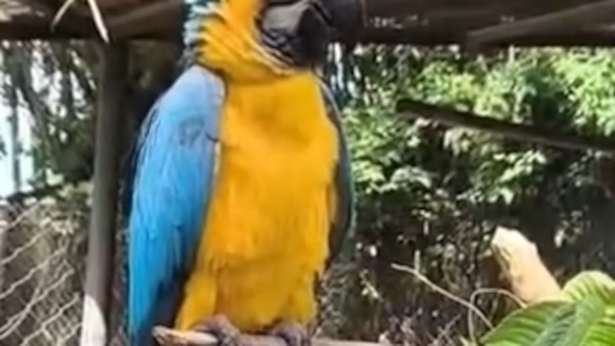 Juan Esteban Cortés, director (E) CRQ, Quindío