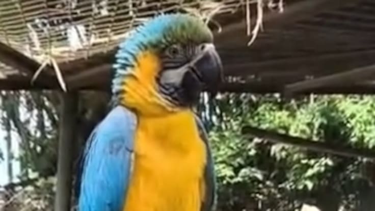 Juan Esteban Cortés, director (E) CRQ, Quindío