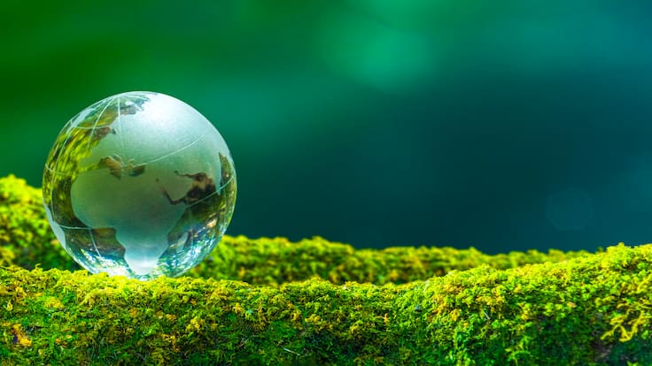 “La agenda 2030 no se va a cumplir” Sergio Rengifo, director ejecutivo de Cecodes