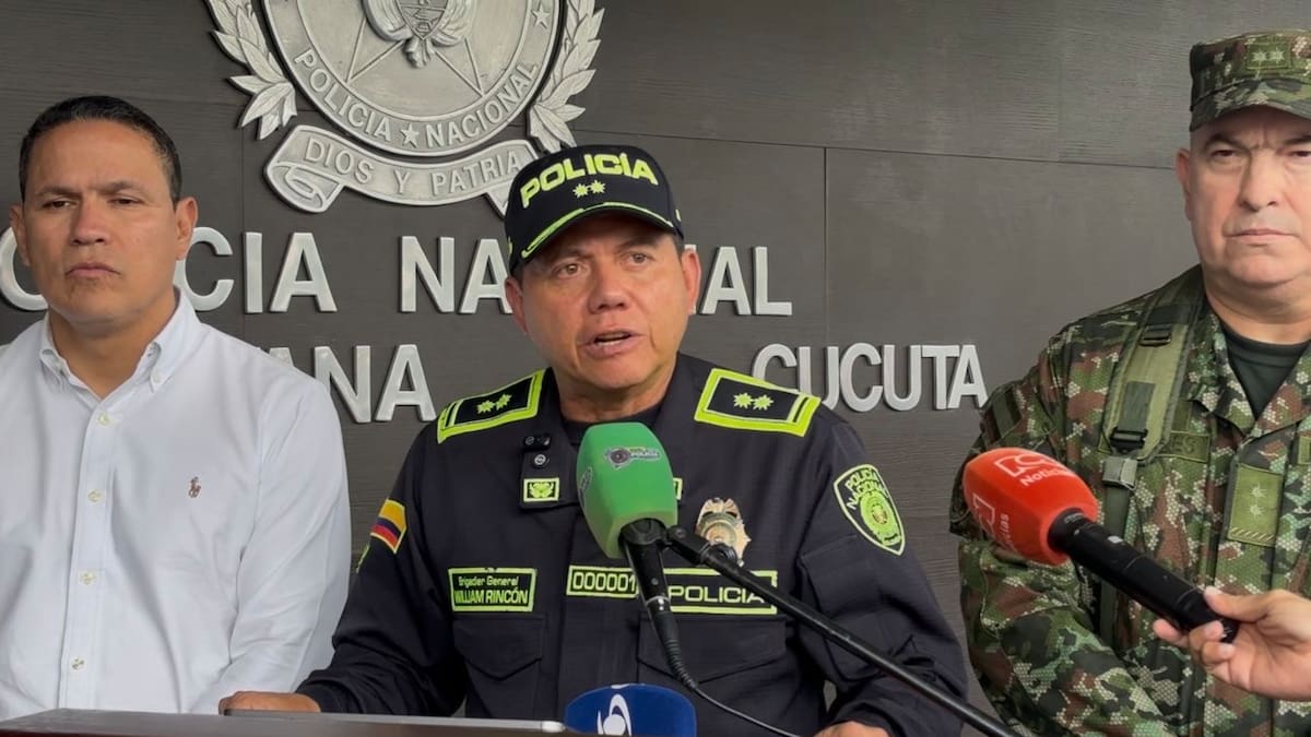 Director de la Policía reportó una reducción del 56,9% en nuevos cultivos ilícitos