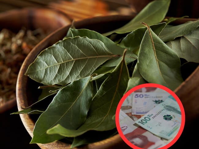 Hojas de laurel y dinero colombiano (Getty Images)