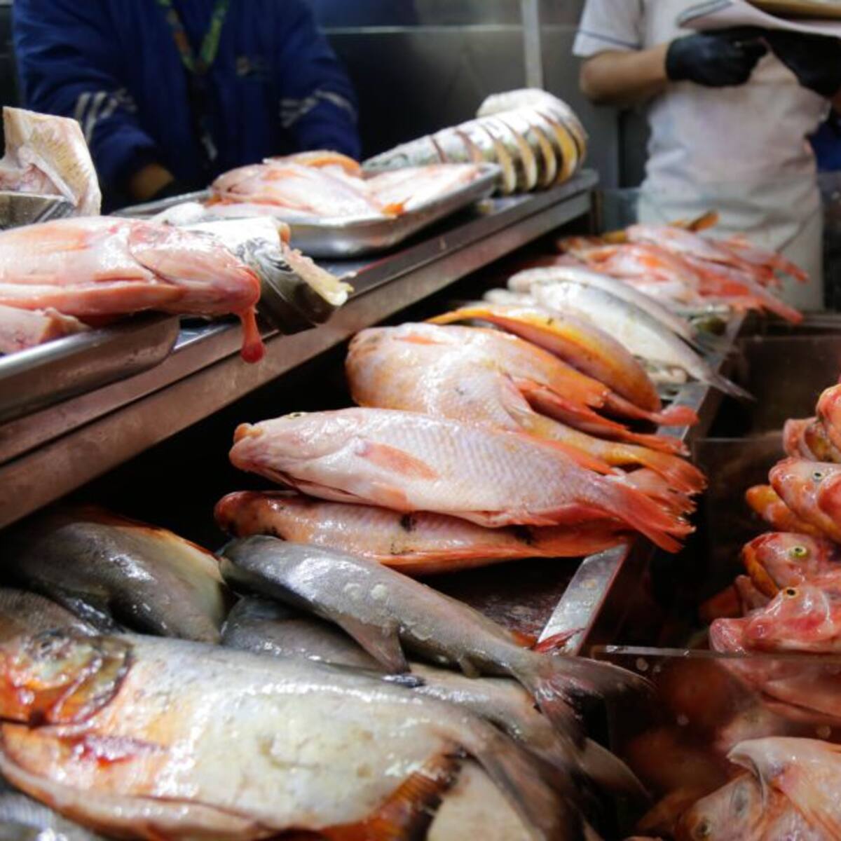 Recomendaciones para comprar pescado en Risaralda por la vigilia