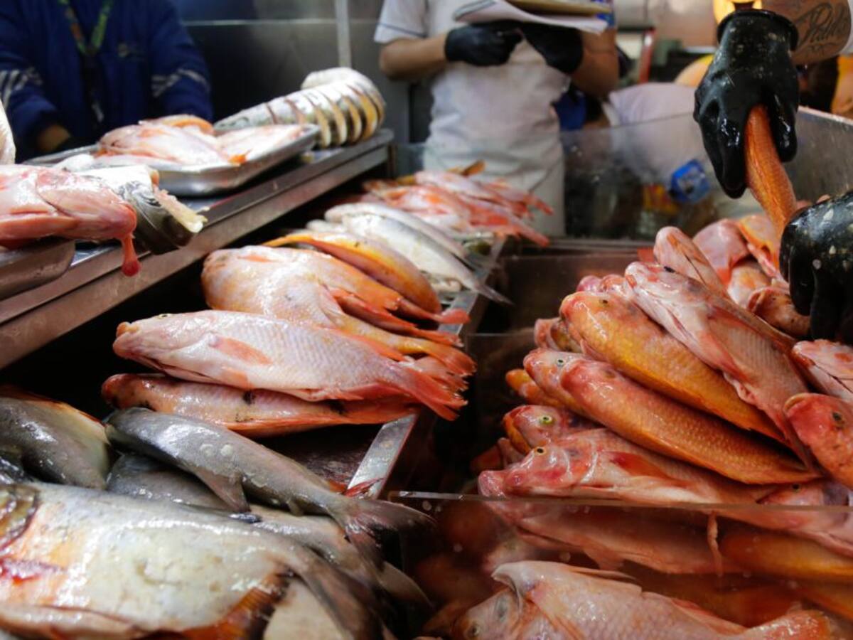 Recomendaciones para comprar pescado en Risaralda por la vigilia