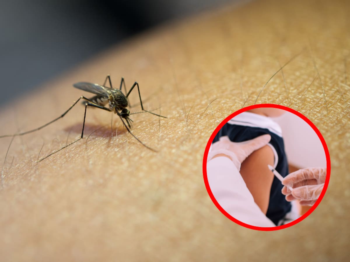 Más de 550 casos de dengue han sido notificados en el Atlántico en lo corrido del año