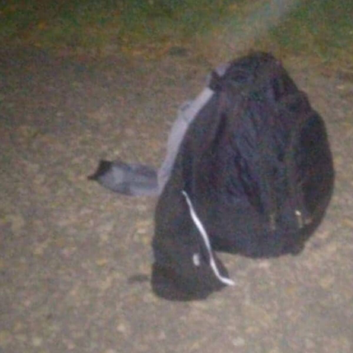 Abandonan presuntos explosivos en colegios de Tibú