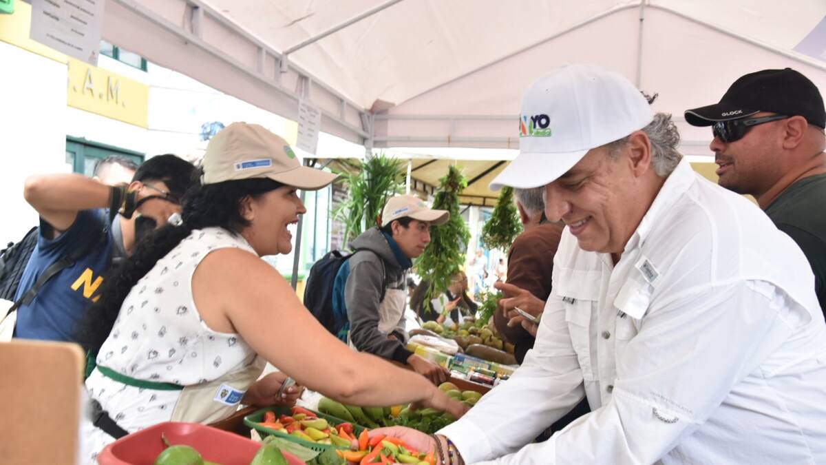 Alianzas productivas: Qué son, inversión y cómo beneficia agricultores en Quindío