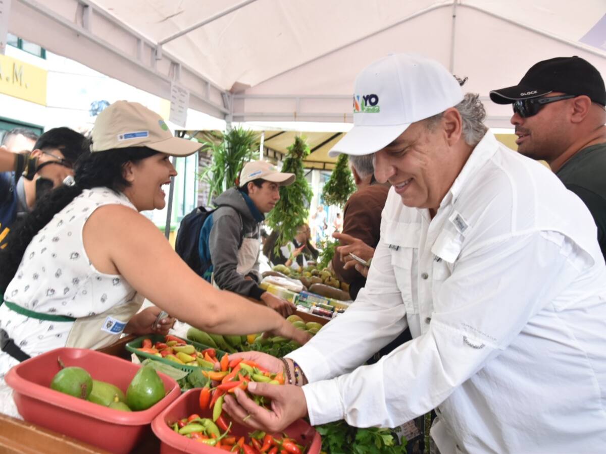 Alianzas productivas: Qué son, inversión y cómo beneficia agricultores en Quindío