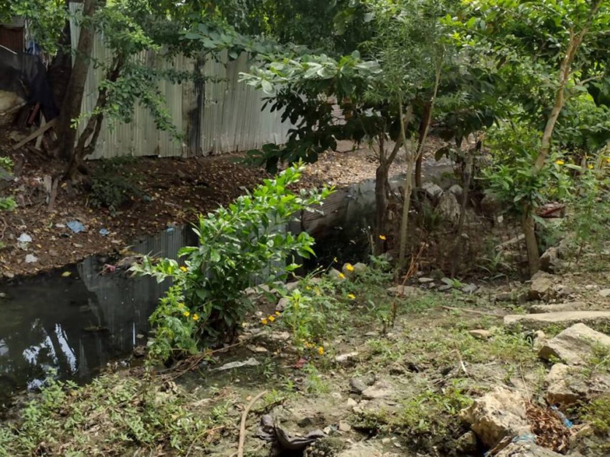 Sigue preocupación por el dengue en Cartagena tras la muerte de un niño