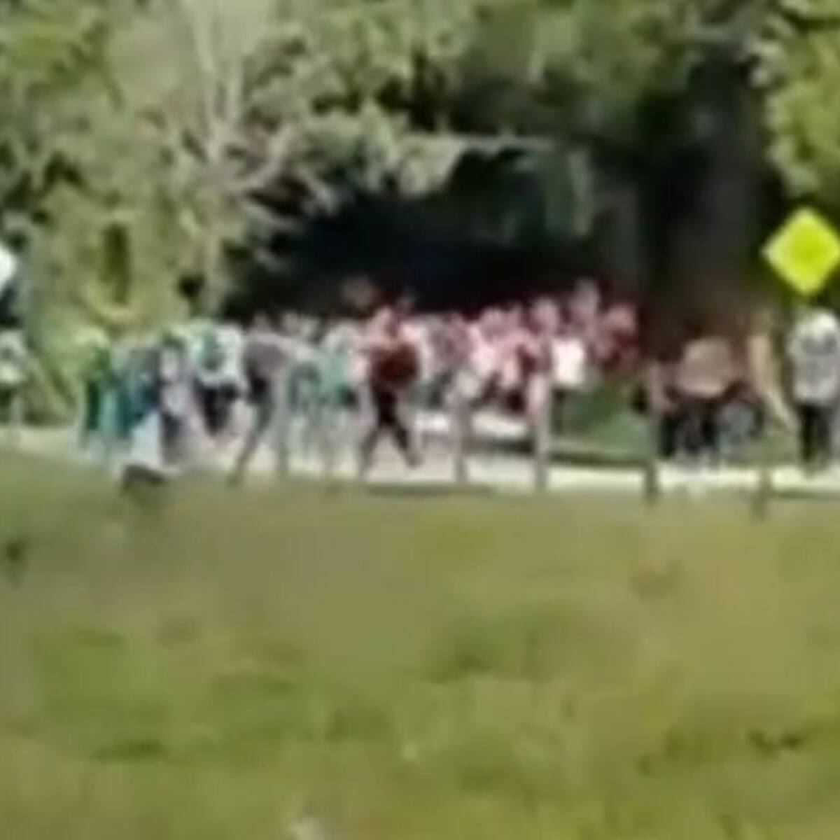 Varios heridos dejó pelea entre algunos hinchas en la vía Manizales, Bogotá