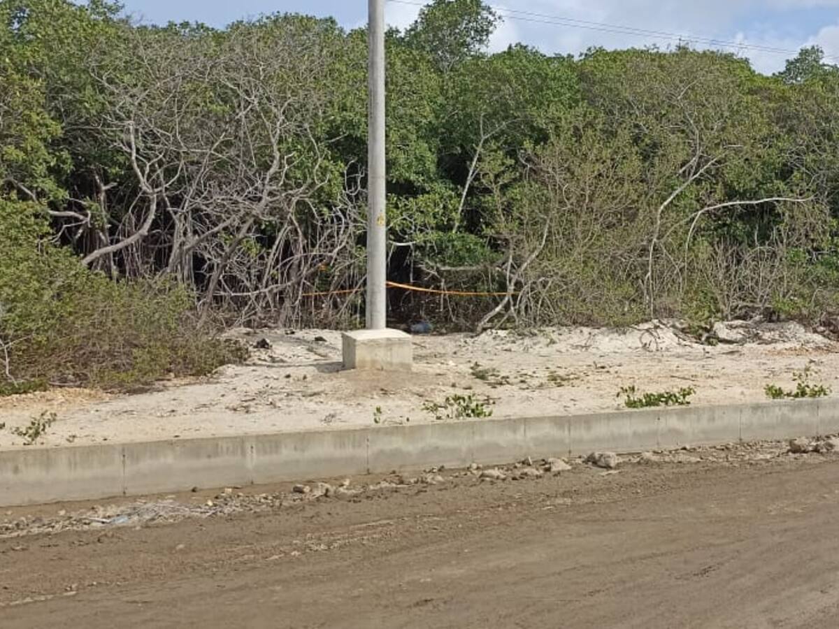 Hallaron cuerpo sin vida con varias lesiones por arma de fuego en Barú
