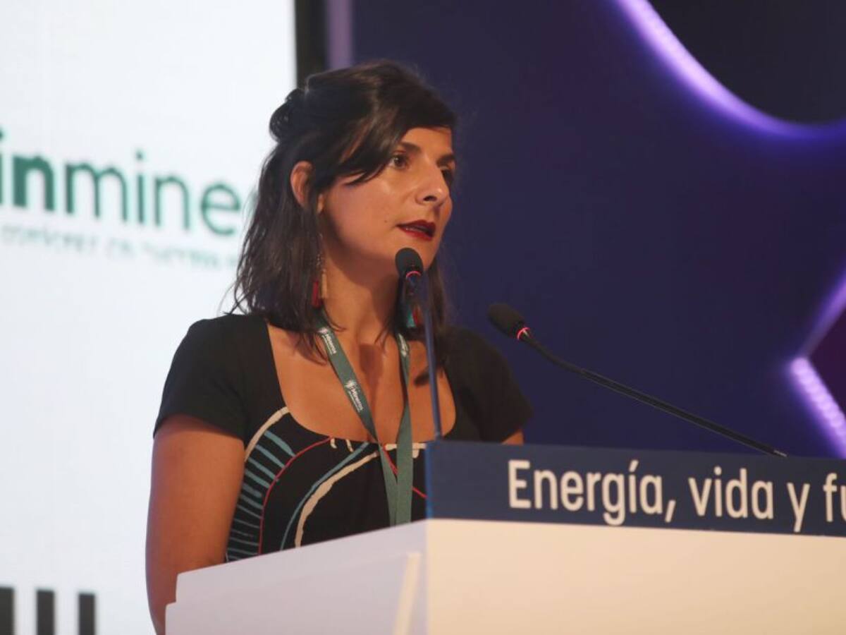 Ministra Irene Vélez y los anuncios sobre reducción de tarifas de energía