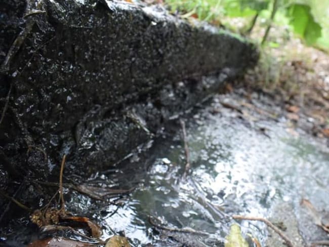 Problema de contaminación de agua en Boquia en Salento es asunto de todos