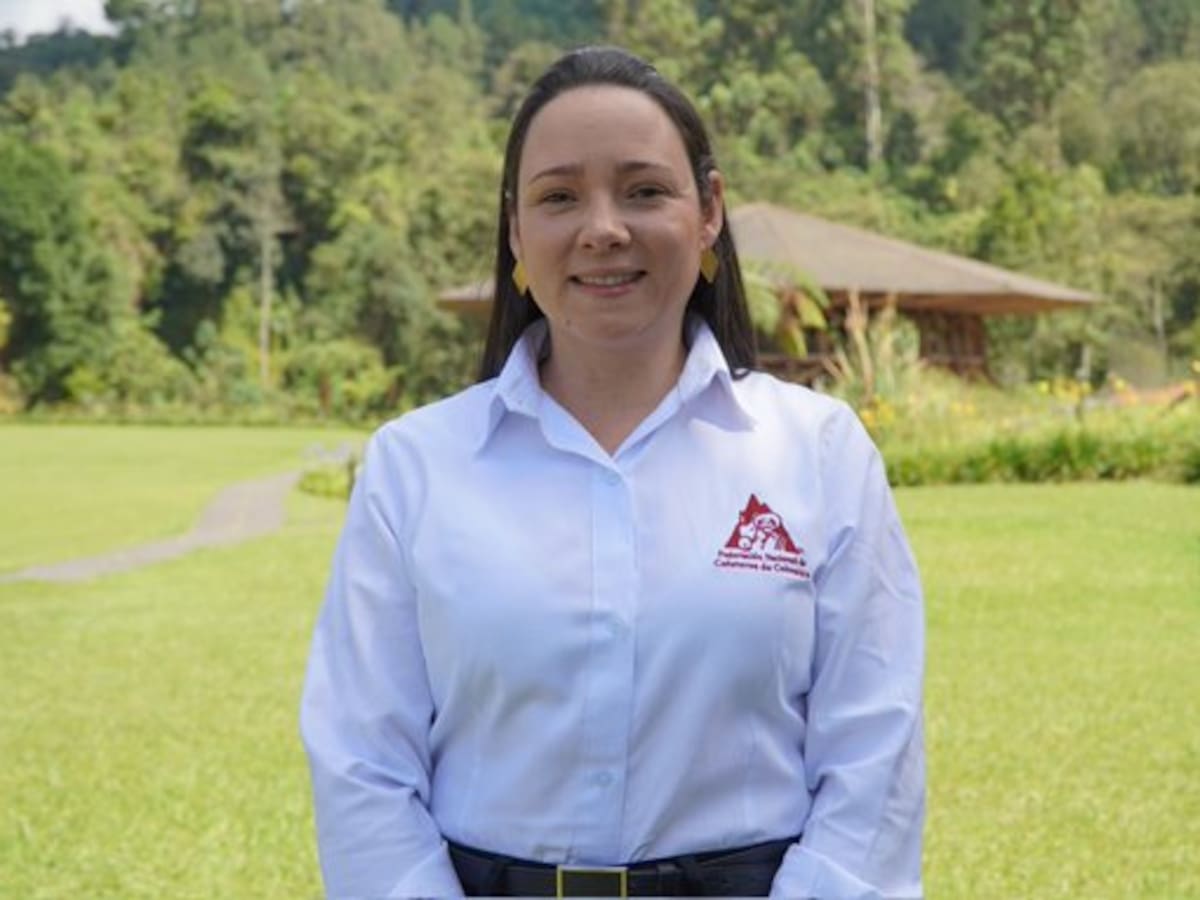 Preocupación de productores de café por la caída del precio del producto