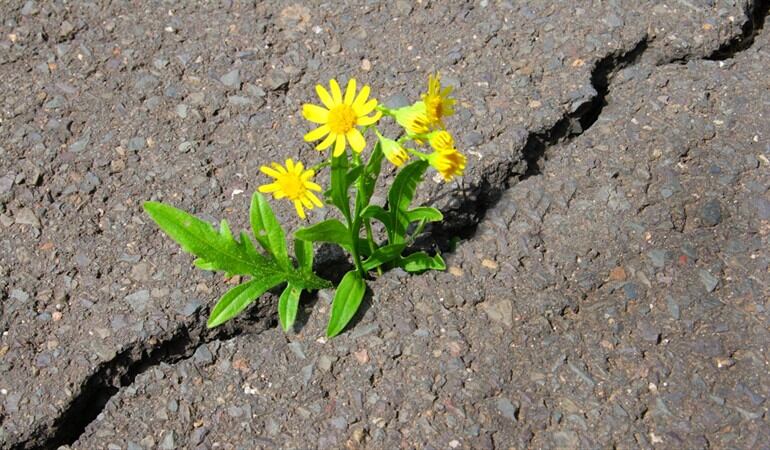 Para los colombianos, ¿qué sería una buena señal?. Foto: Getty Images / KNAUPE
