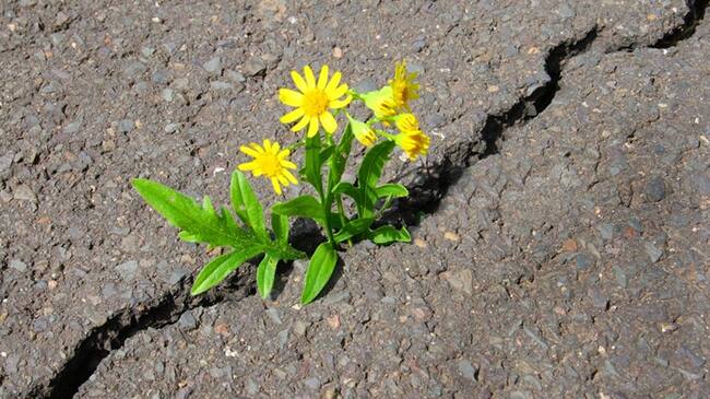 Para los colombianos, ¿qué sería una buena señal?. Foto: Getty Images / KNAUPE