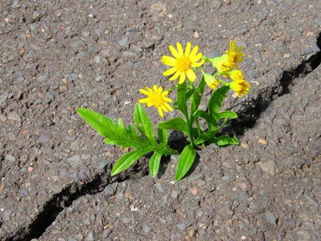Para los colombianos, ¿qué sería una buena señal?. Foto: Getty Images / KNAUPE