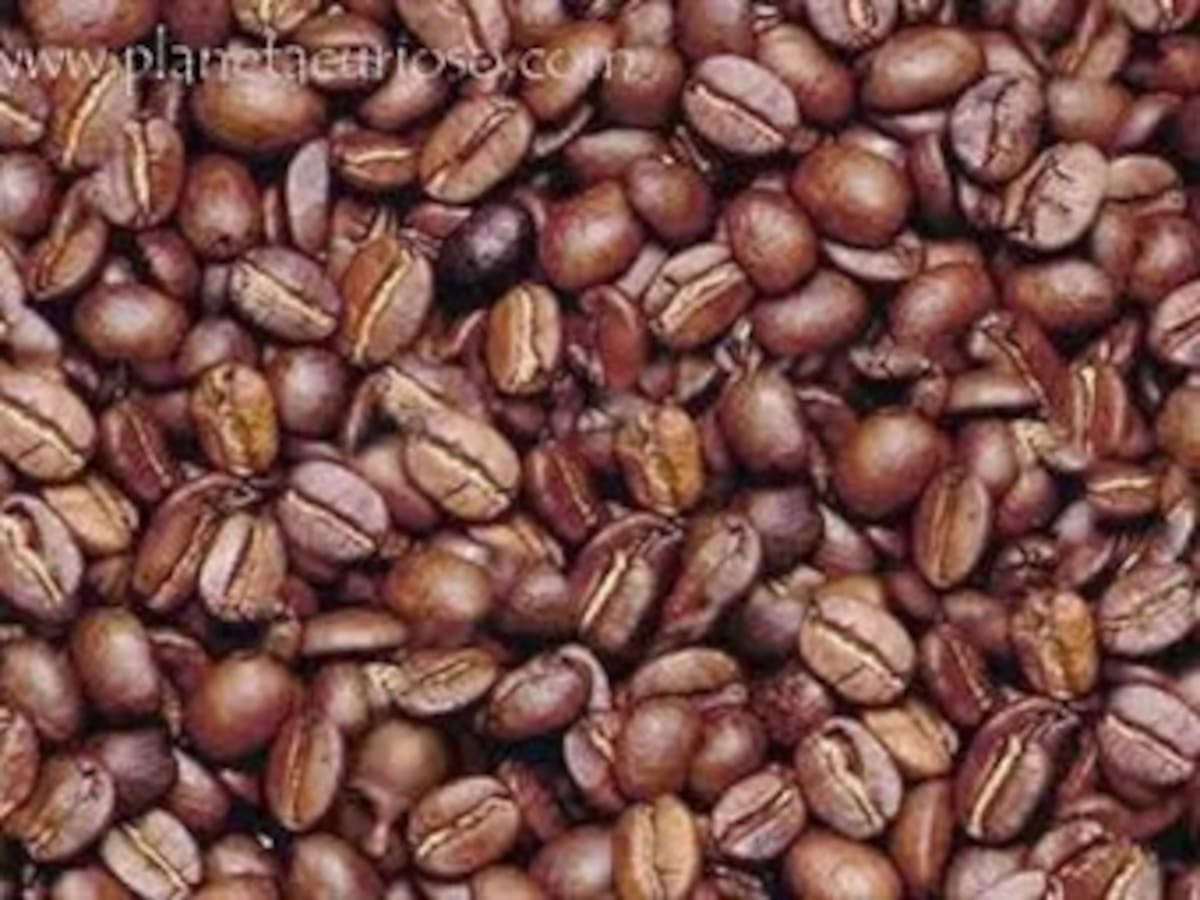 Precio del café nacional en el exterior sigue superando expectativas