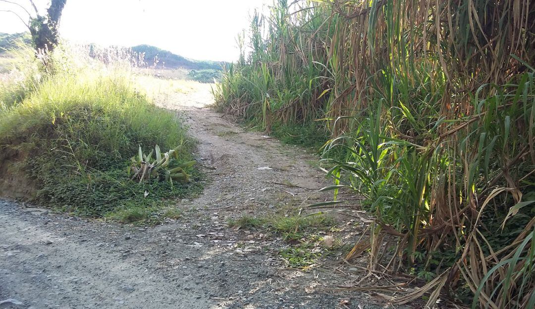 Vía al Aeropuerto del Café