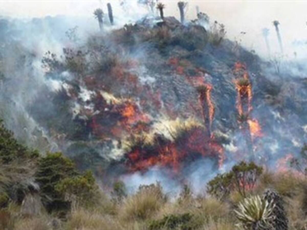 Aumenta el desastre ambiental por los incendios forestales en Colombia