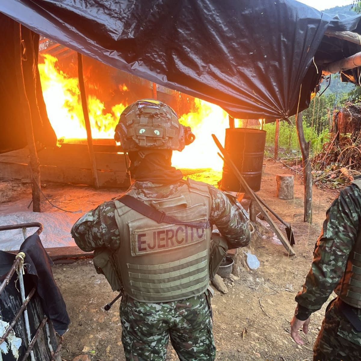Ejército destruyó cinco laboratorios para el procesamiento de coca en Antioquia y Córdoba