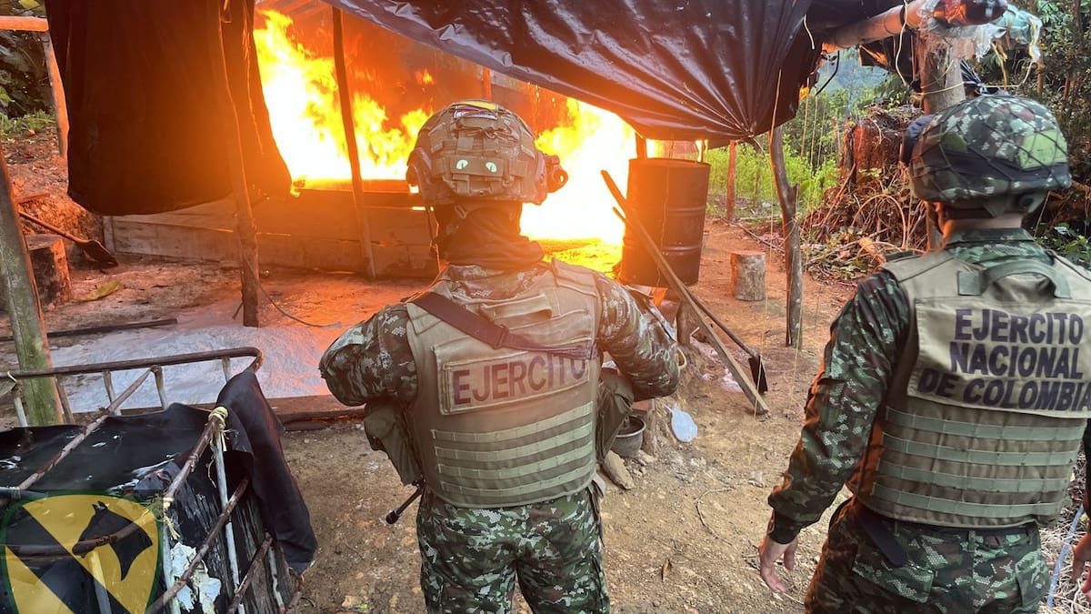 Ejército destruyó cinco laboratorios para el procesamiento de coca en Antioquia y Córdoba