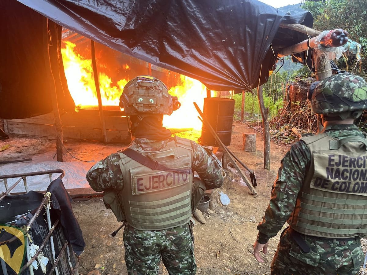 Ejército destruyó cinco laboratorios para el procesamiento de coca en Antioquia y Córdoba
