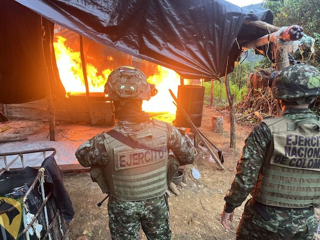 Ejército destruyó cinco laboratorios para el procesamiento de coca y tres semilleros en Antioquia y Córdoba. Foto: Ejército.
