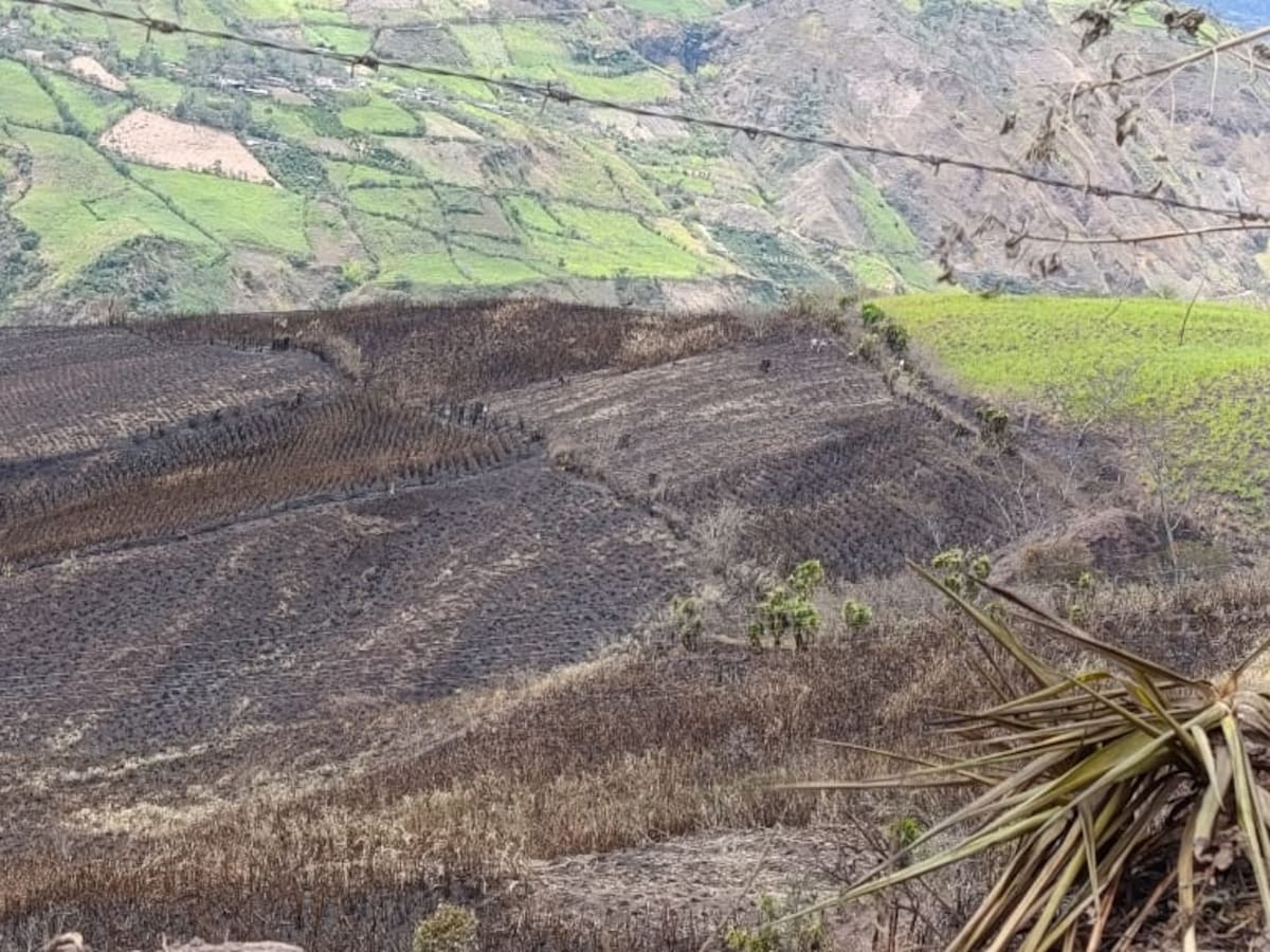 Incendios han arrasado más de 1.400 hectáreas productivas en el departamento de Nariño