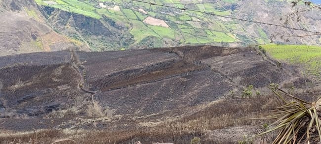 Incendios en Nariño - Foto: cortesía