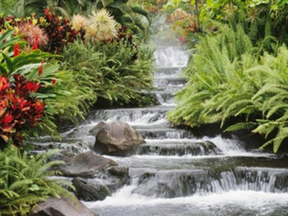 Copiar la naturaleza para conservar la biodiversidad