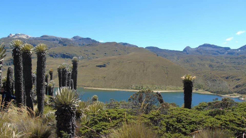 Foto: Corporación Autónoma Regional de Risaralda (archivo).