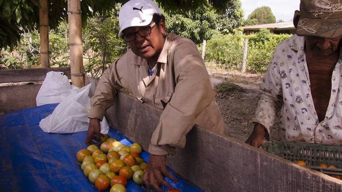 Familia que cultiva unida…