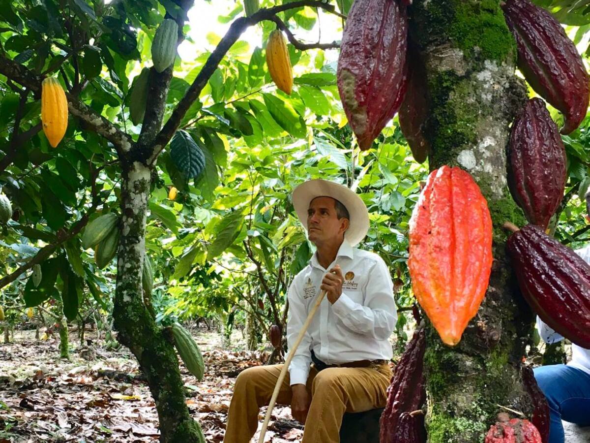 En el municipio de Rivera-Huila, se vive la experiencia del cacao