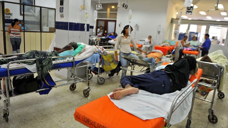 Médicos Sin Fronteras: El cambio climático activa los casos de dengue a nivel mundial