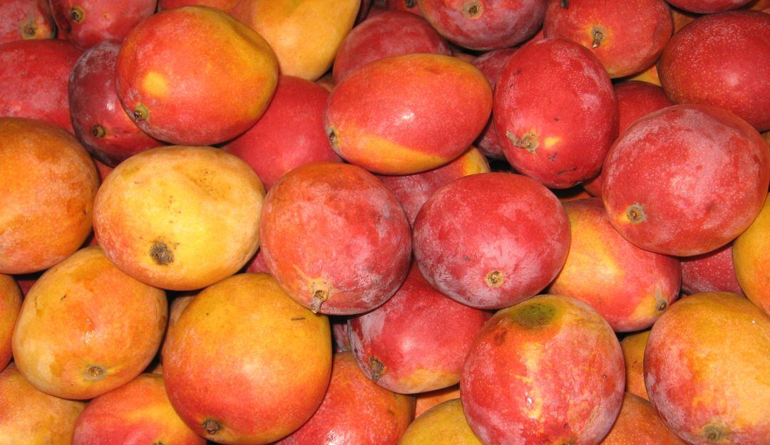Mangos