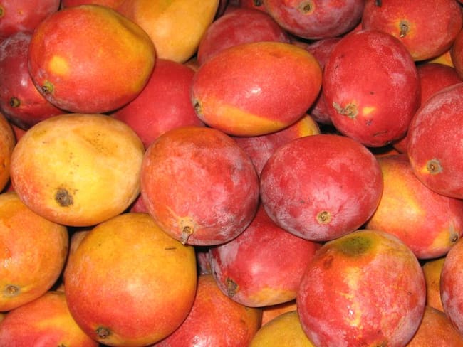Mangos