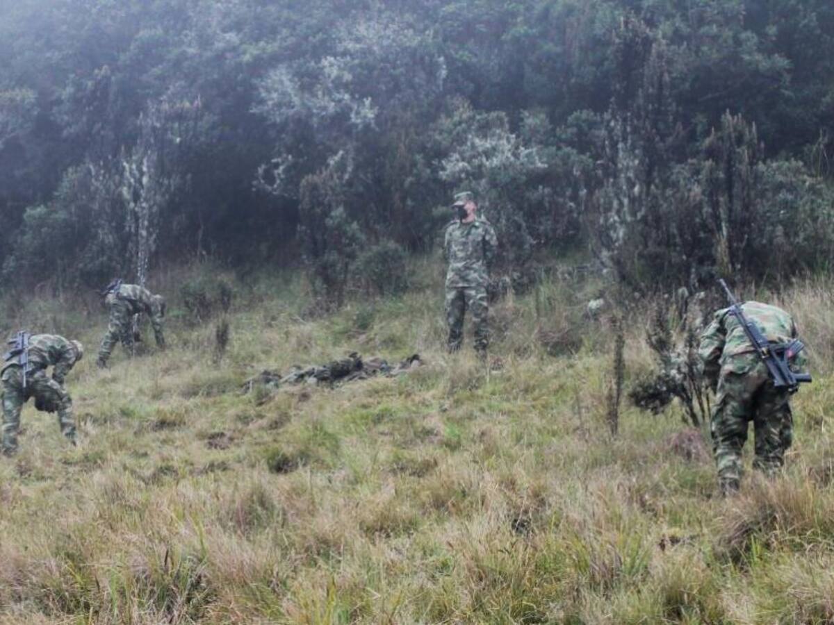 500 frailejones son sembrados en el Parque Natural de los Nevados